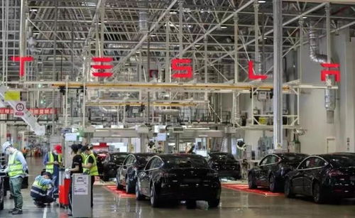 特斯拉否認降價傳聞引發(fā)網(wǎng)友熱議